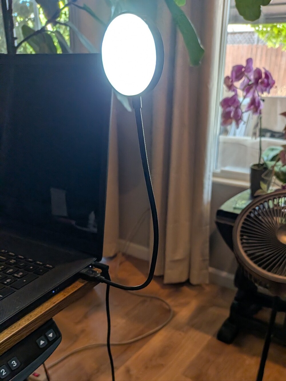 Flexible Black Clip-On LED Tap Light